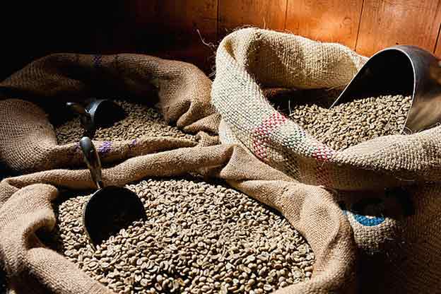 peru tourism coffee beans