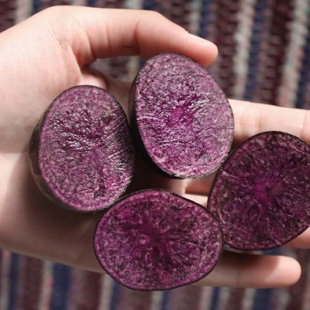 Peruvian purple foods potatoes
