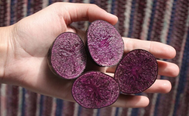 Peruvian purple foods potatoes