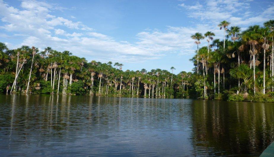 lake sandoval puerto maldonado