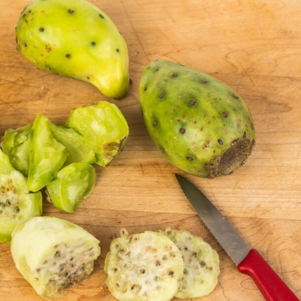 prickly pear tuna moquegua
