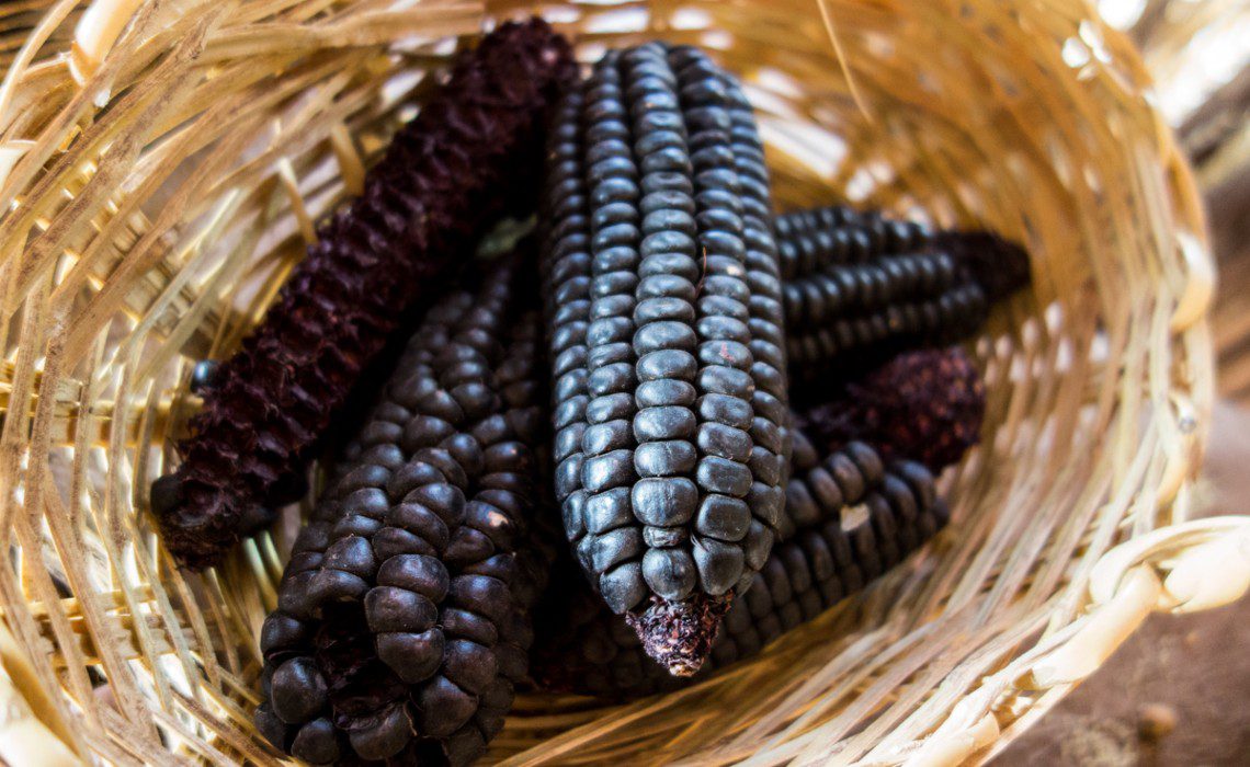 The Powerful Benefits of Purple Corn