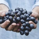 grapes-690230_960_720