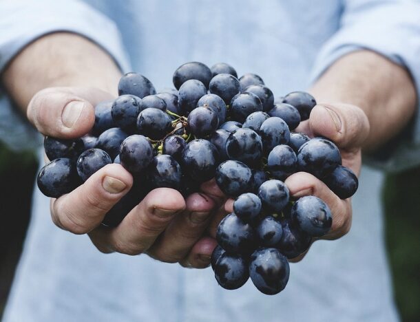 grapes