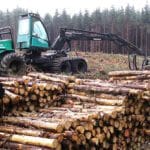 logging