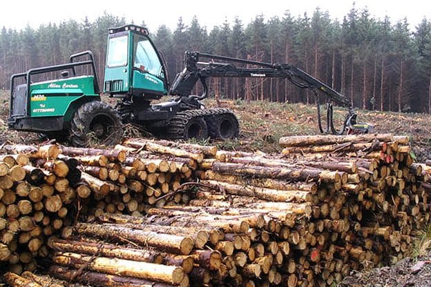 logging