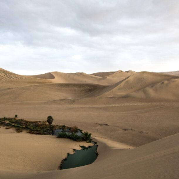 huacachina oasis desert