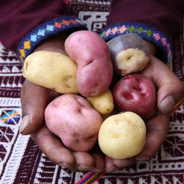 Andean cuisine Cusco Sacred Valley