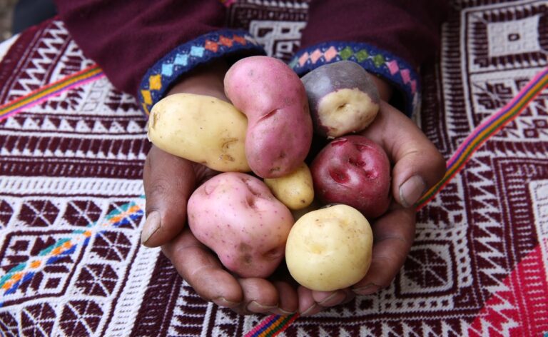 Andean cuisine Cusco Sacred Valley