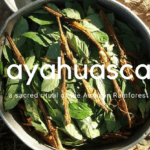 ayahuasca