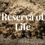 Paracas National Reserve