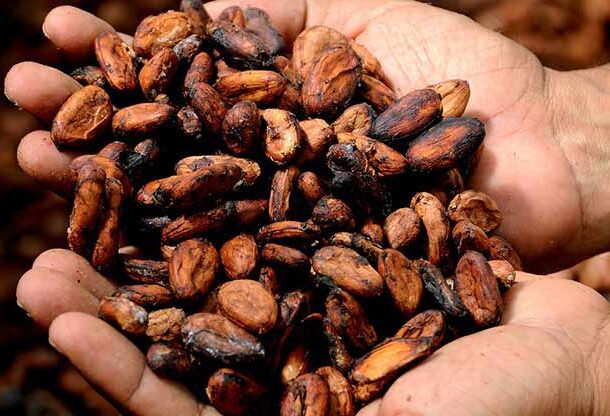 cocoa