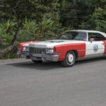 AP2_9588-AmaraPhotos.com-2018-06-09-e