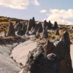 pamparichi