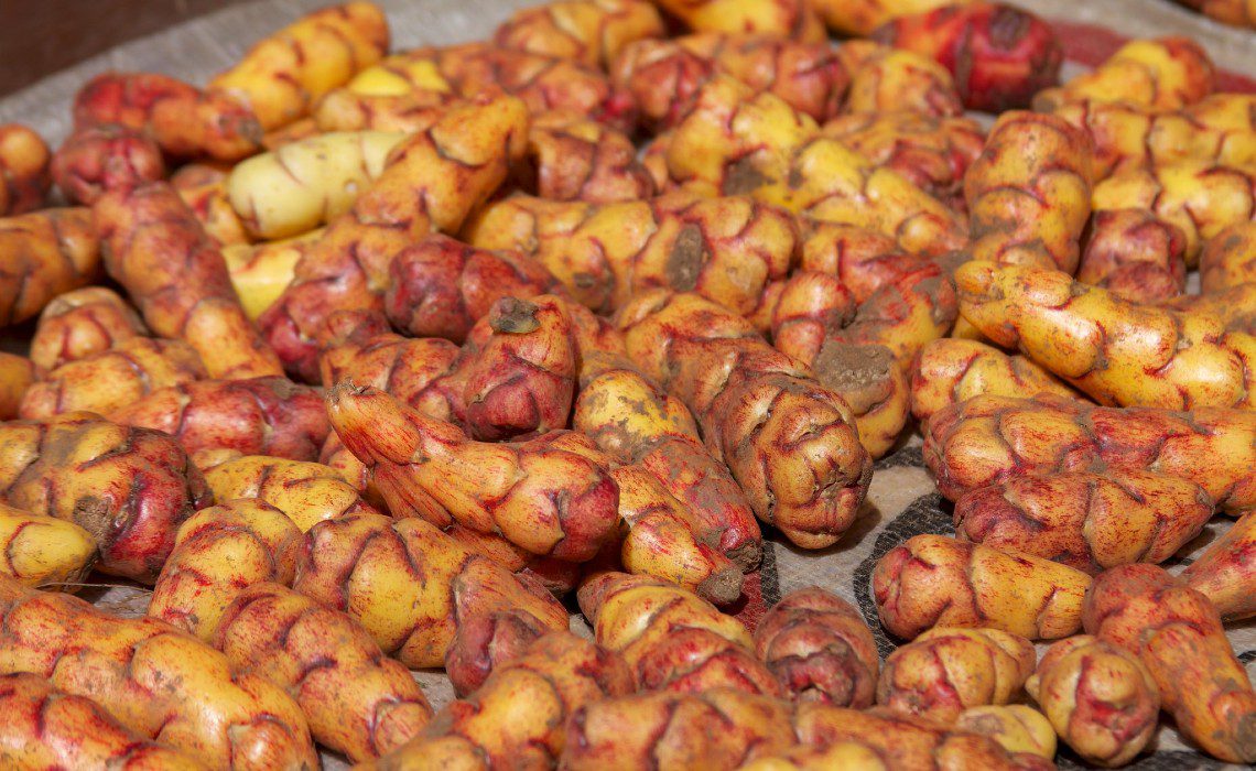 Potato Park Peru Potato Park Peru