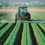 agriculture