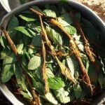 ayahuasca