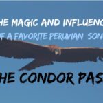 condor pasa