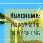 huachuma healing medicine