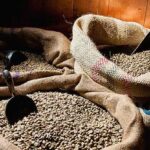 peruvian-coffee