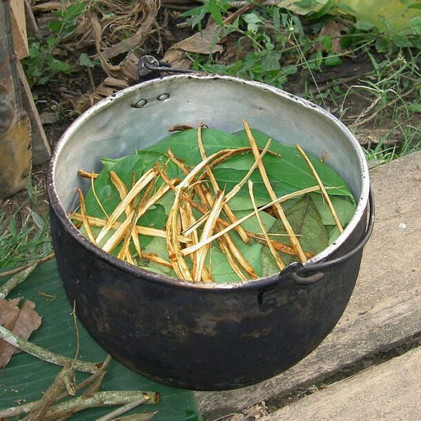 ayahuasca