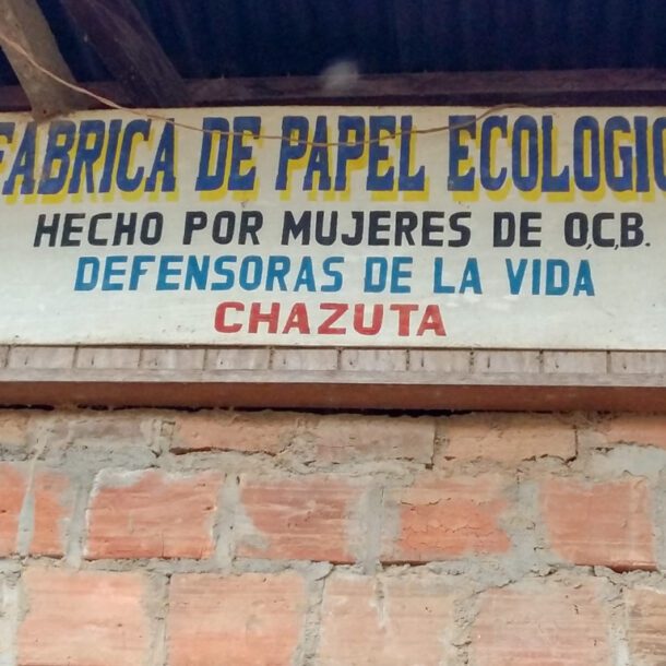 natural paper making in the jungle