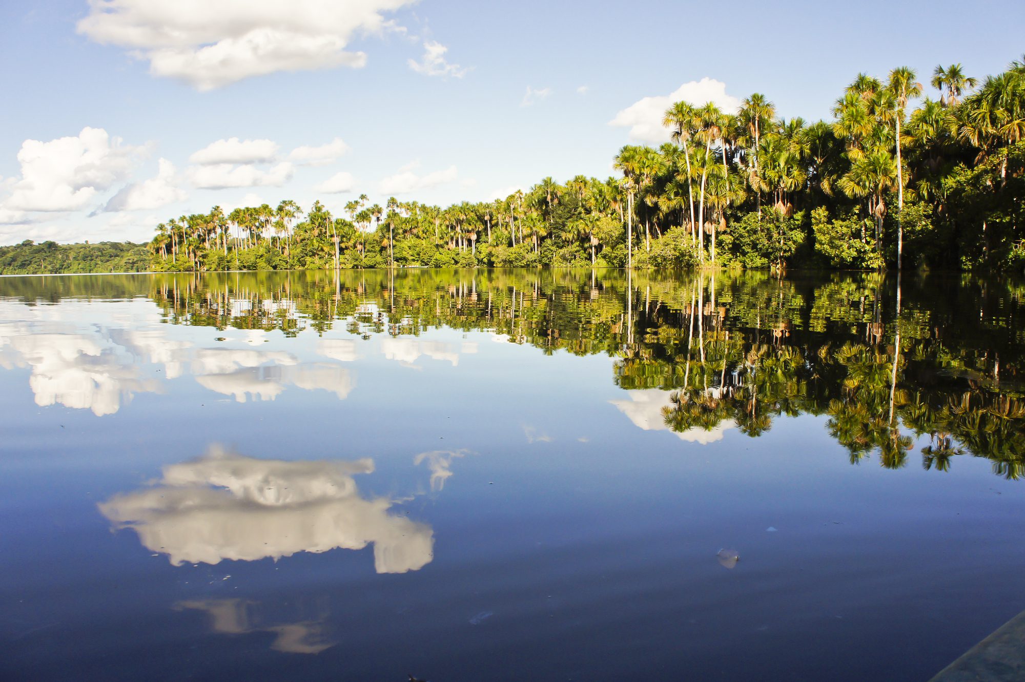 Lake at Tambopata National Park,Peru