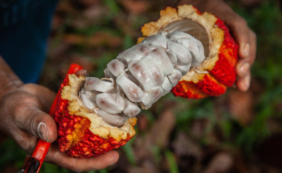 These Are the 10 Peruvian Products with Designation of Origin