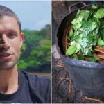 ayahuasca documentary