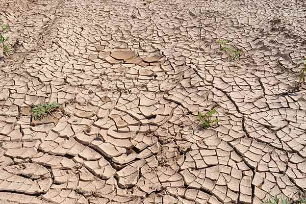 drought drought
