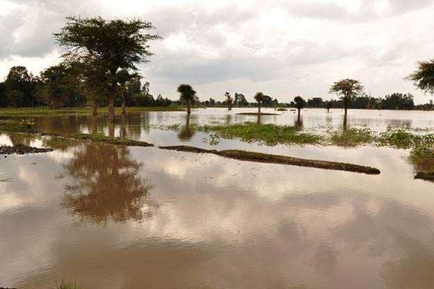 flood