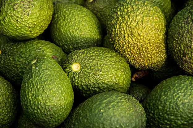 hass avocado
