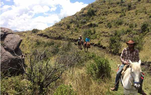 horseback