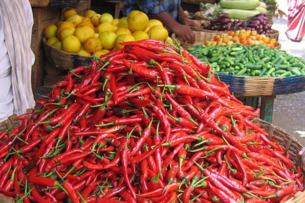 agro-exports agro exports