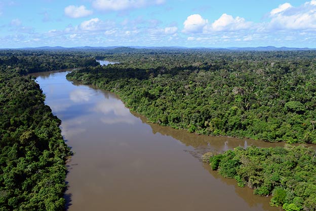 amazon river