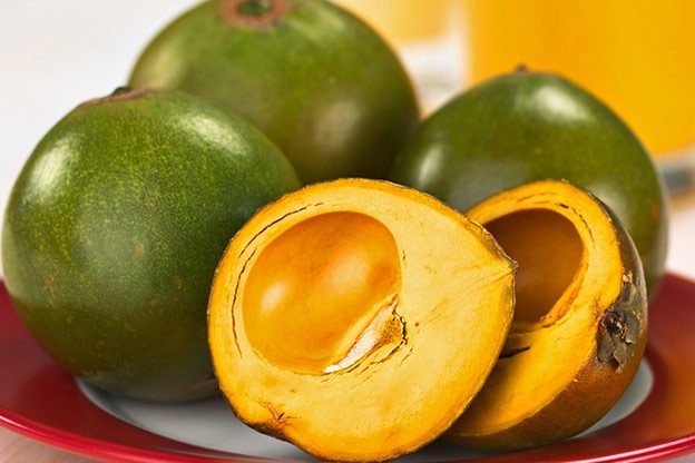 lucuma lucuma
