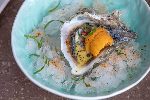 Oyster-and-Sea-Urchin-min