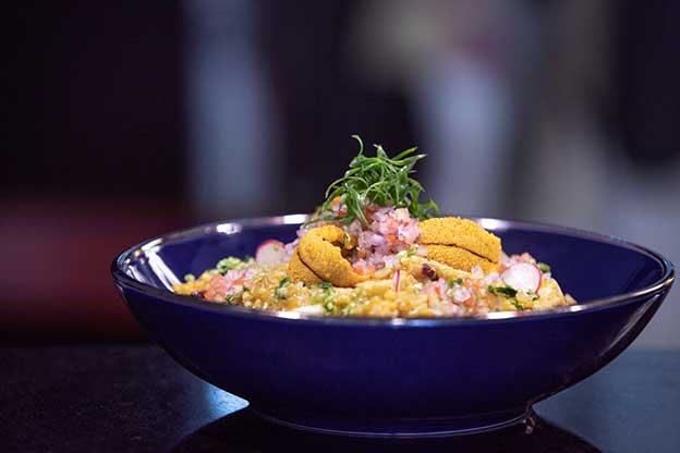 sea urchin rice