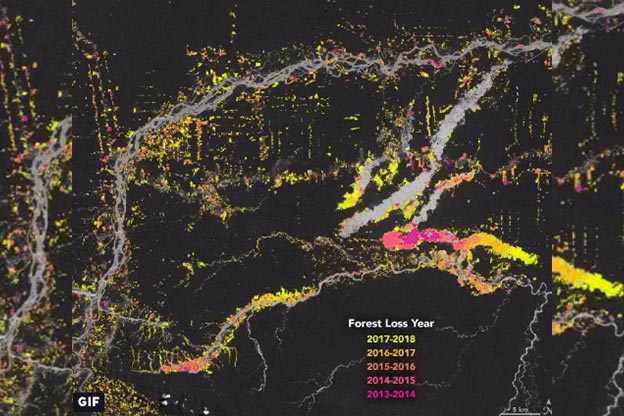 forest-loss forest loss