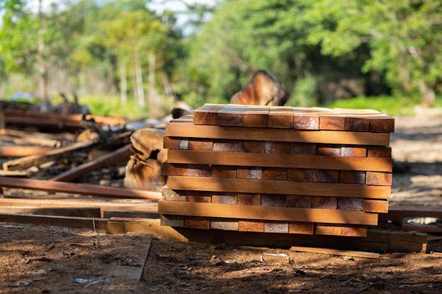 logging in peru