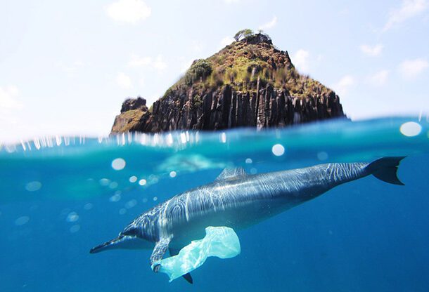 ocean plastic