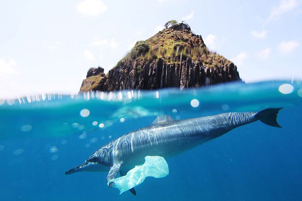 ocean plastic