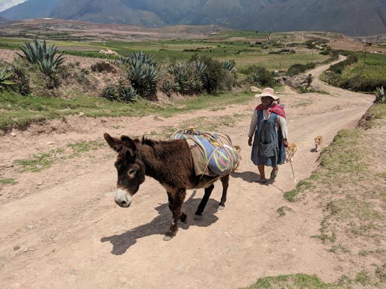 quechua porters