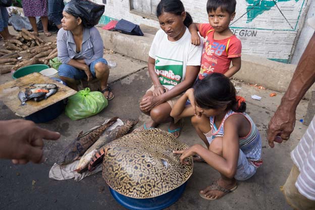 belen animal
