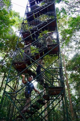 going up canopy