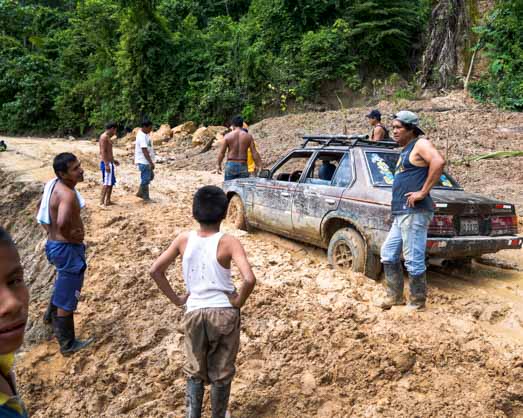 jungle transport