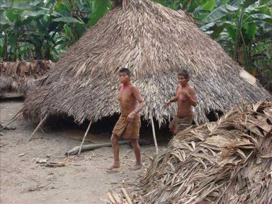 uncontacted tribe