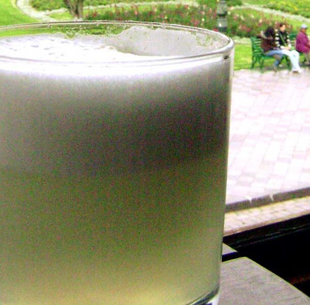 pisco sour