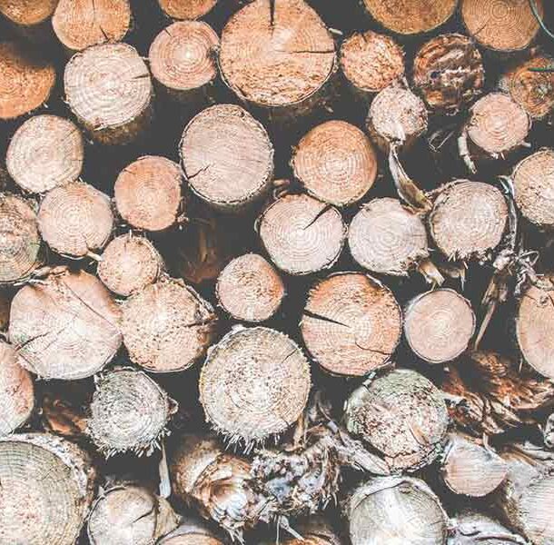 wood