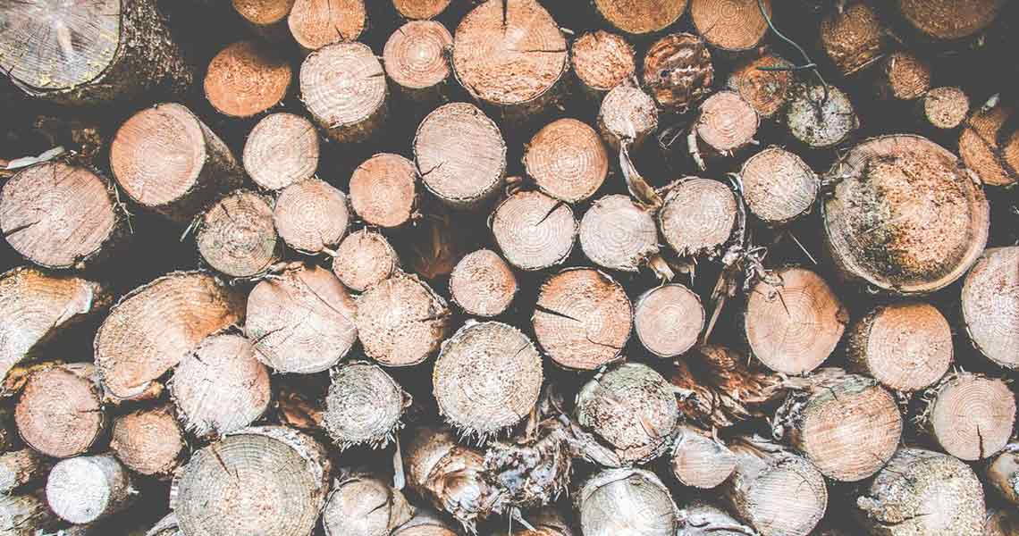 wood wood